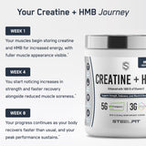 SteelFit Creapure – créatine monohydrate de haute pureté pour une stabilité.