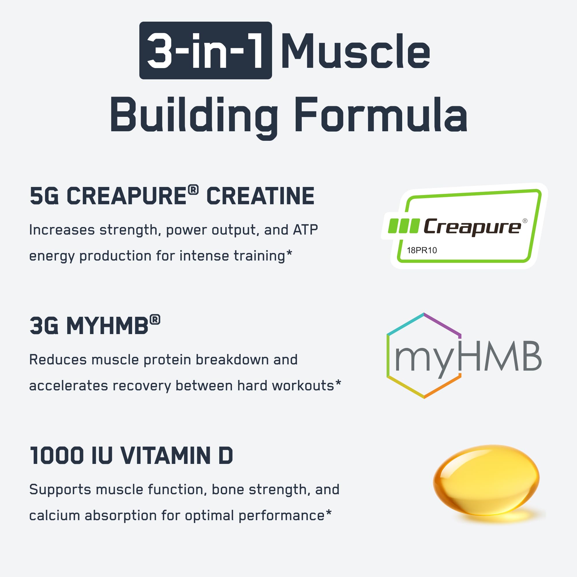 SteelFit Poudre Creatine HMB – mélange simple avant ou après séance pour booster les performances.