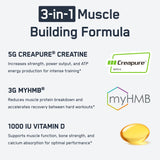 SteelFit Poudre Creatine HMB – mélange simple avant ou après séance pour booster les performances.