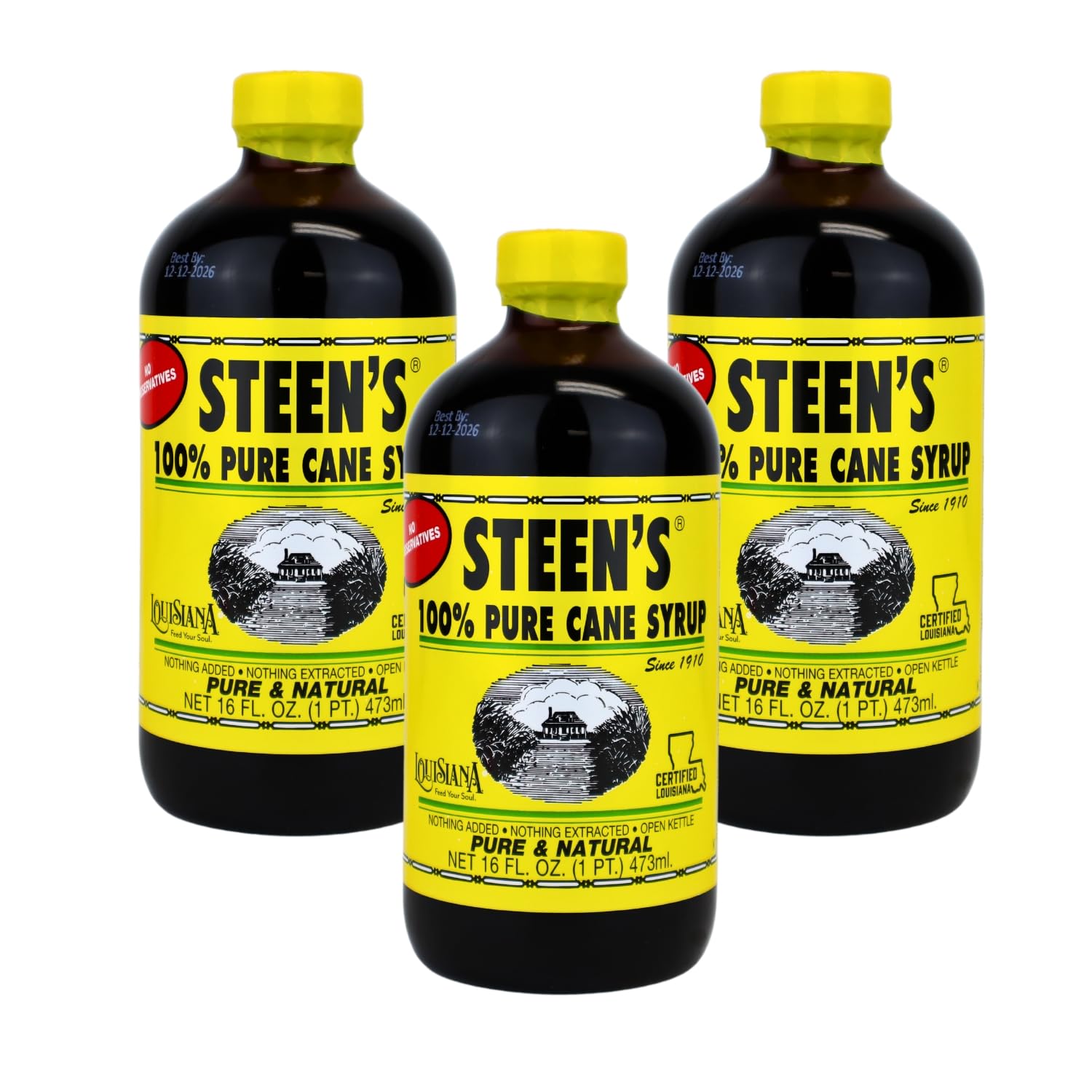 Steen's sirop de cane pur – bouteille 16oz, parfait pour desserts riches