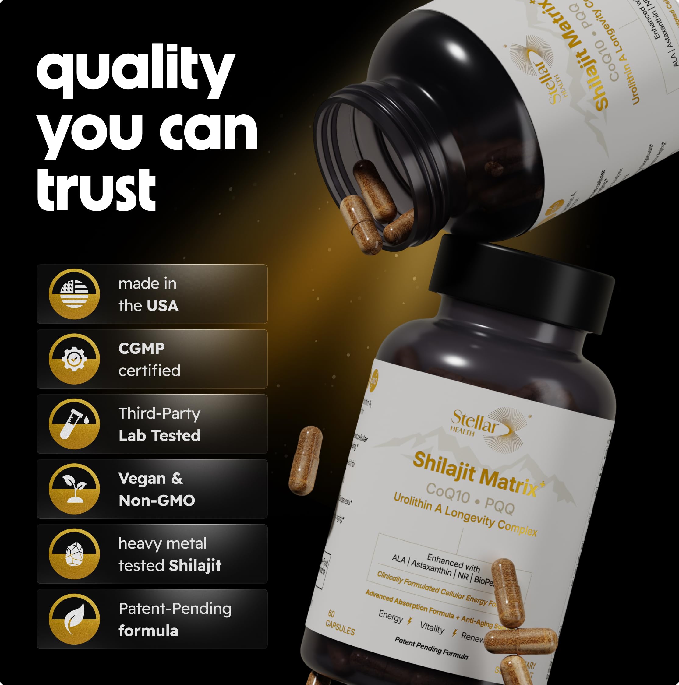 Stellar Health – BioPerine 10 mg pour meilleure absorption des nutriments.