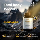 Stellar Health – capsules véganes pour énergie et concentration soutenues.