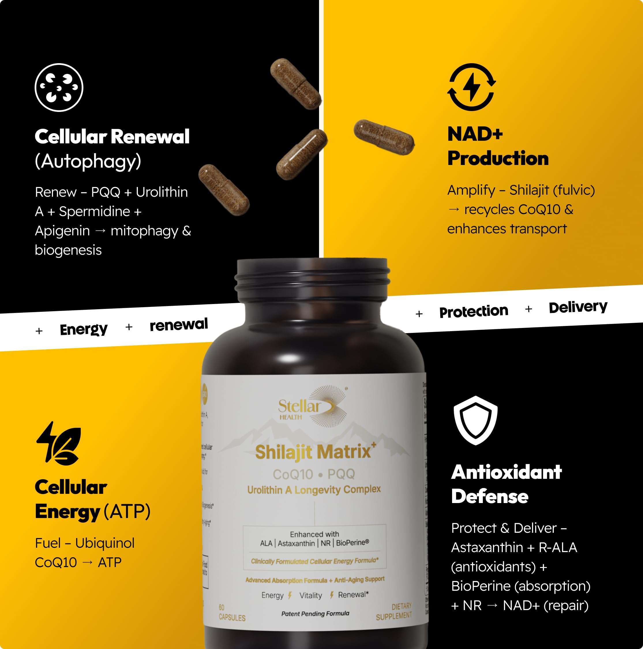 Stellar Health – ubiquinol et CoQ10 pour énergie cellulaire et endurance.
