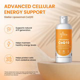 Stellar Liposomal CoQ10 flacon-avec-goutte facilite l'ajout dans les boissons.