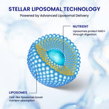 Stellar Liposomal NAD+ emballage boîte simple et recyclable.