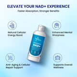 Stellar Liposomal NAD+ routine matin facile pour énergie durable.