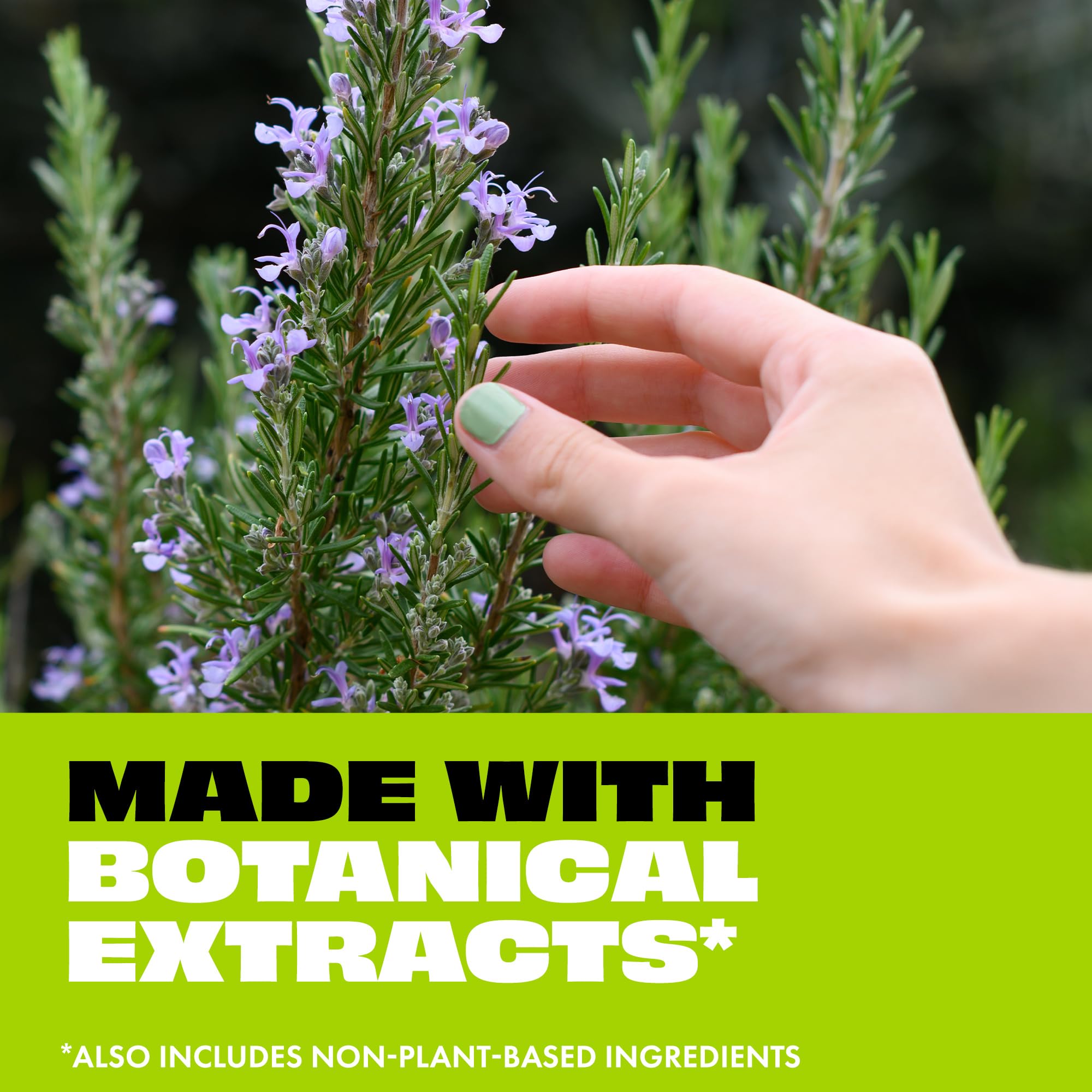 Ingrédients botaniques STEM Repels Moustiques pour une efficacité douce et sûre.