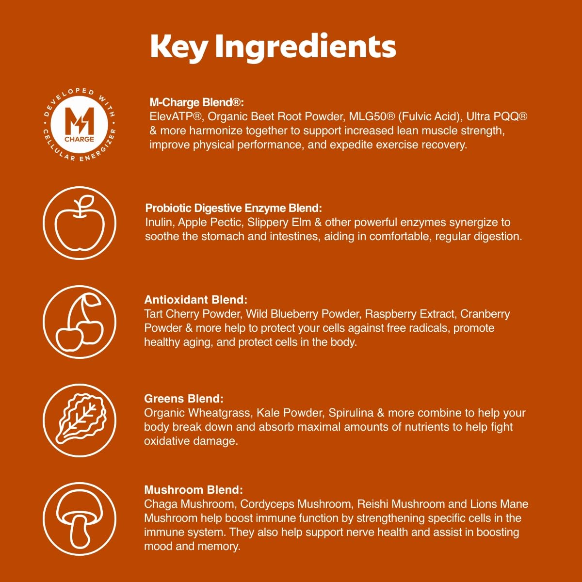 Dose mesurée de L'Evate You Vitality Daily Greens, mélange facile