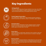 Dose mesurée de L'Evate You Vitality Daily Greens, mélange facile