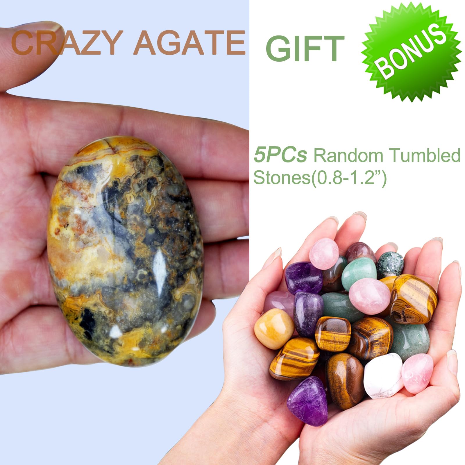 Stino agate folle, paume compacte 2-4 pouces, prise en main idéale
