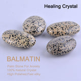 Balmatin STINO, motifs naturels dalmatien et marbrures uniques.