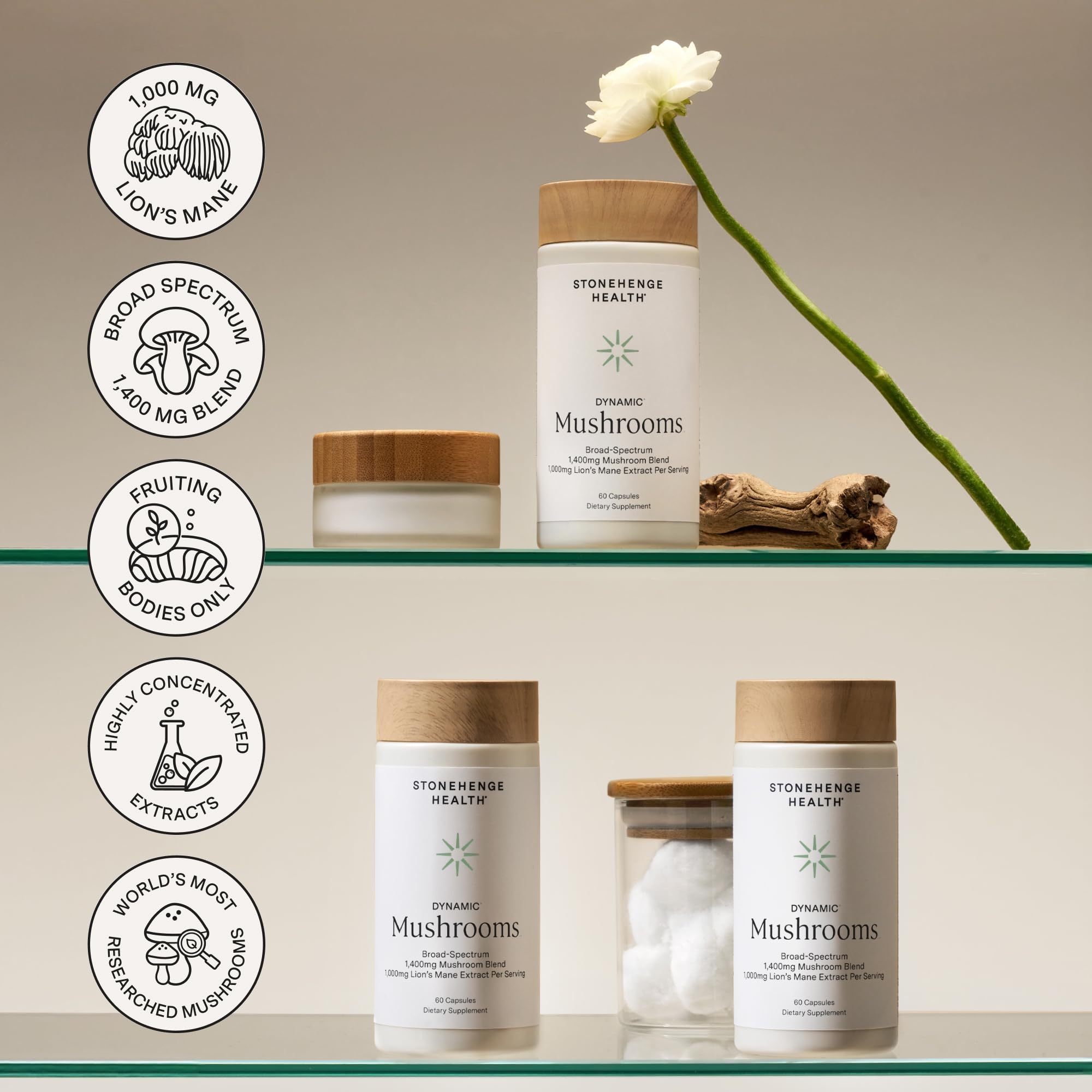 Stonehenge Champignons Dynamiques – extrait Shiitake, utilisation polyvalente en complément.