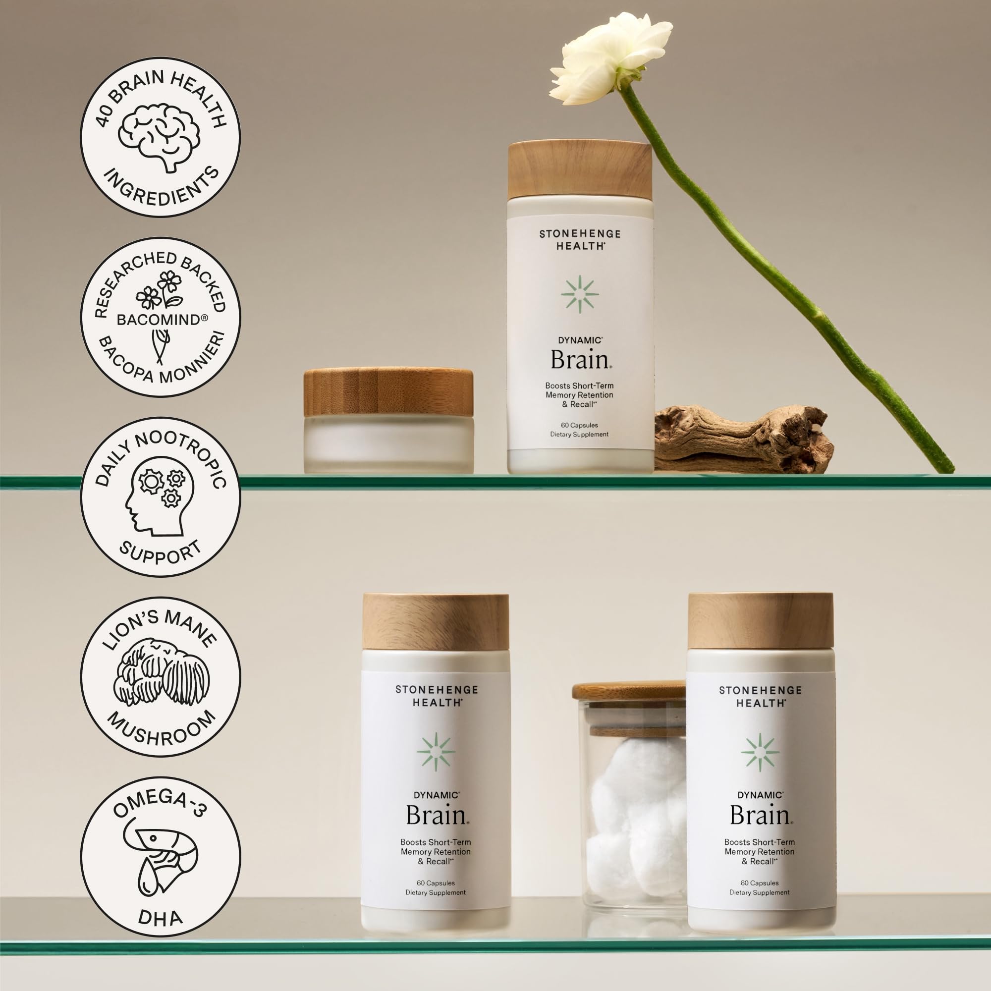 Vue vitrine Stonehenge Health Dynamic Brain, packaging et bénéfices potentiels visibles.