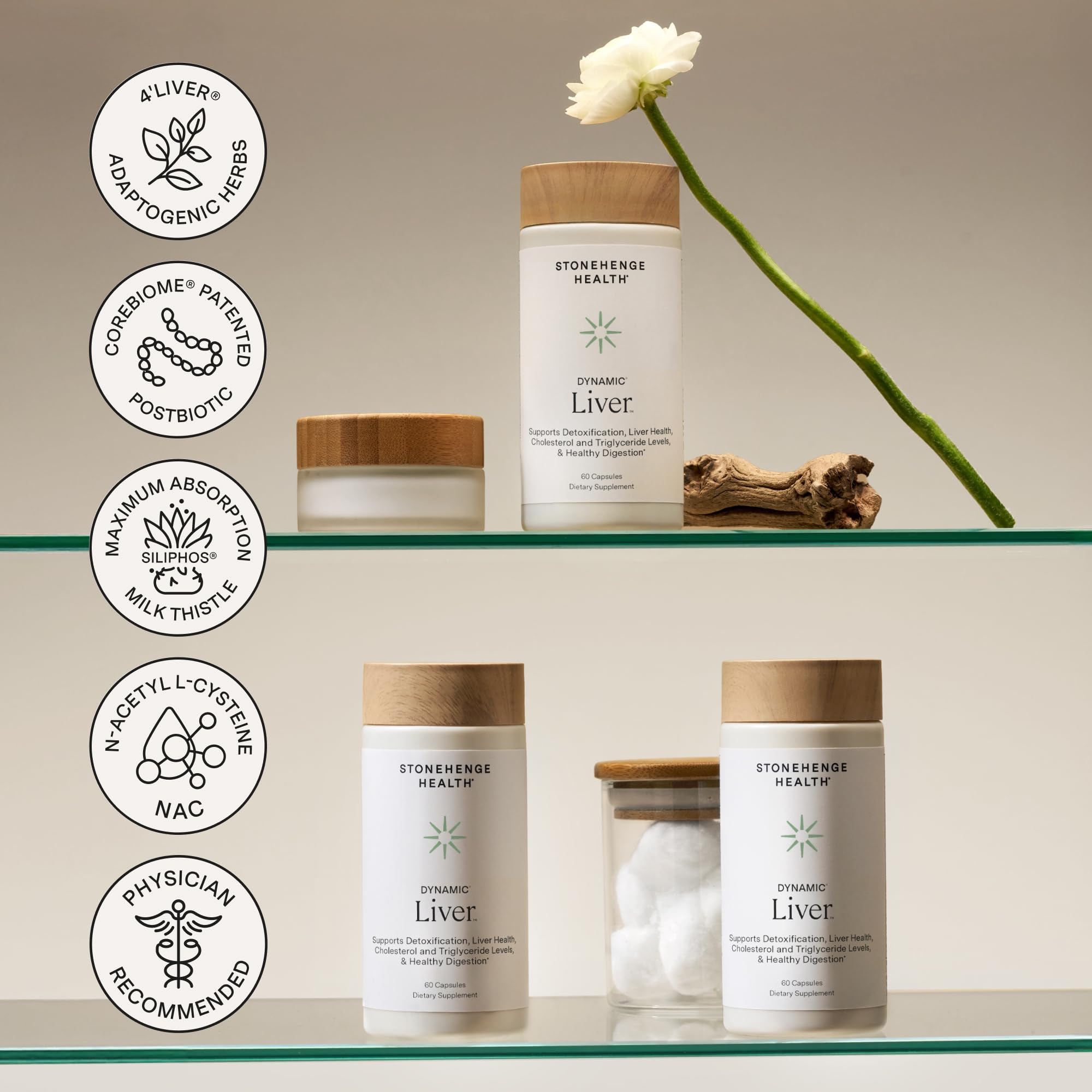 Gingembre Stonehenge Health Dynamic Liver: soutien digestif et confort.