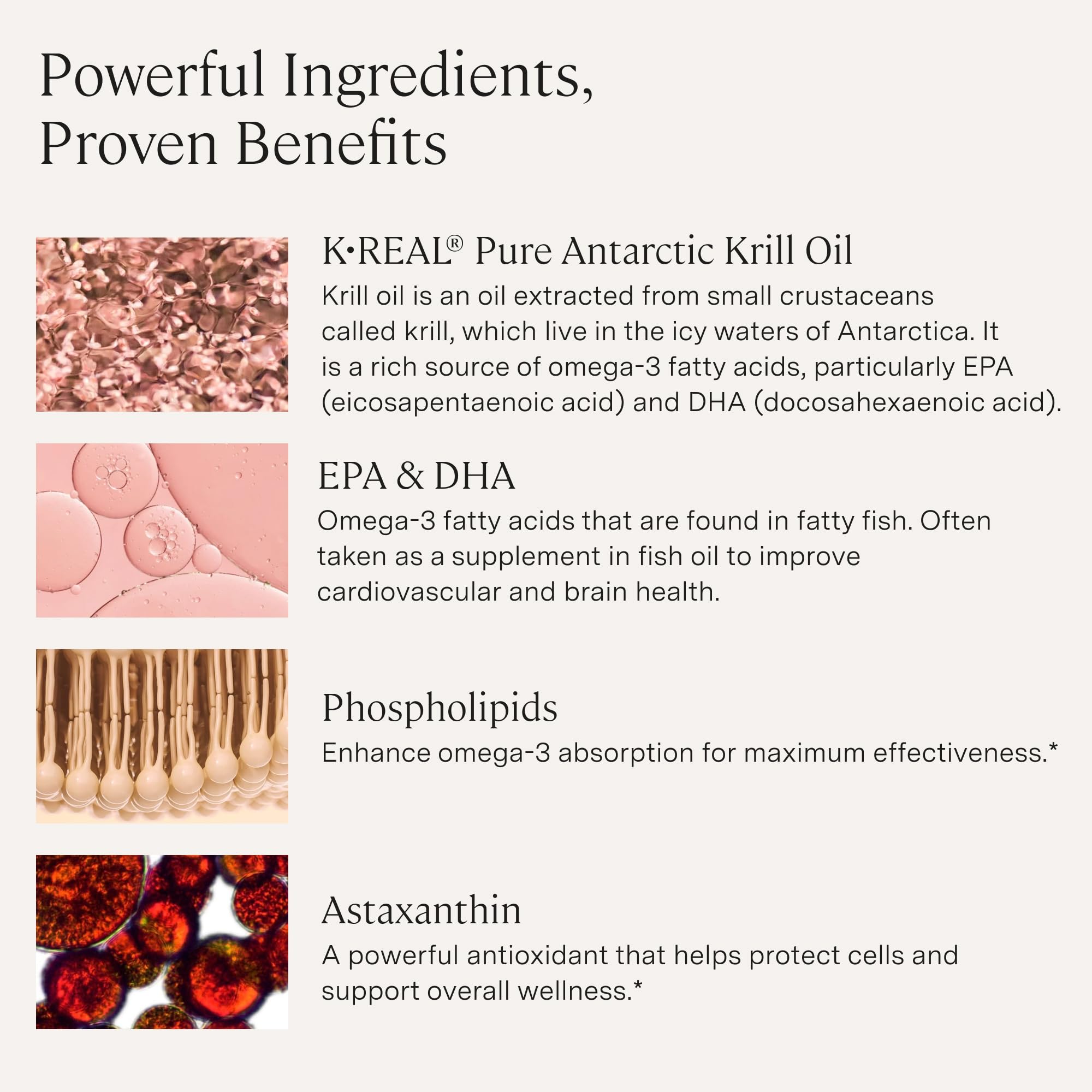Stonehenge Health Dynamic Krill Oil – sourcing antarctique éco-responsable et fraîcheur.
