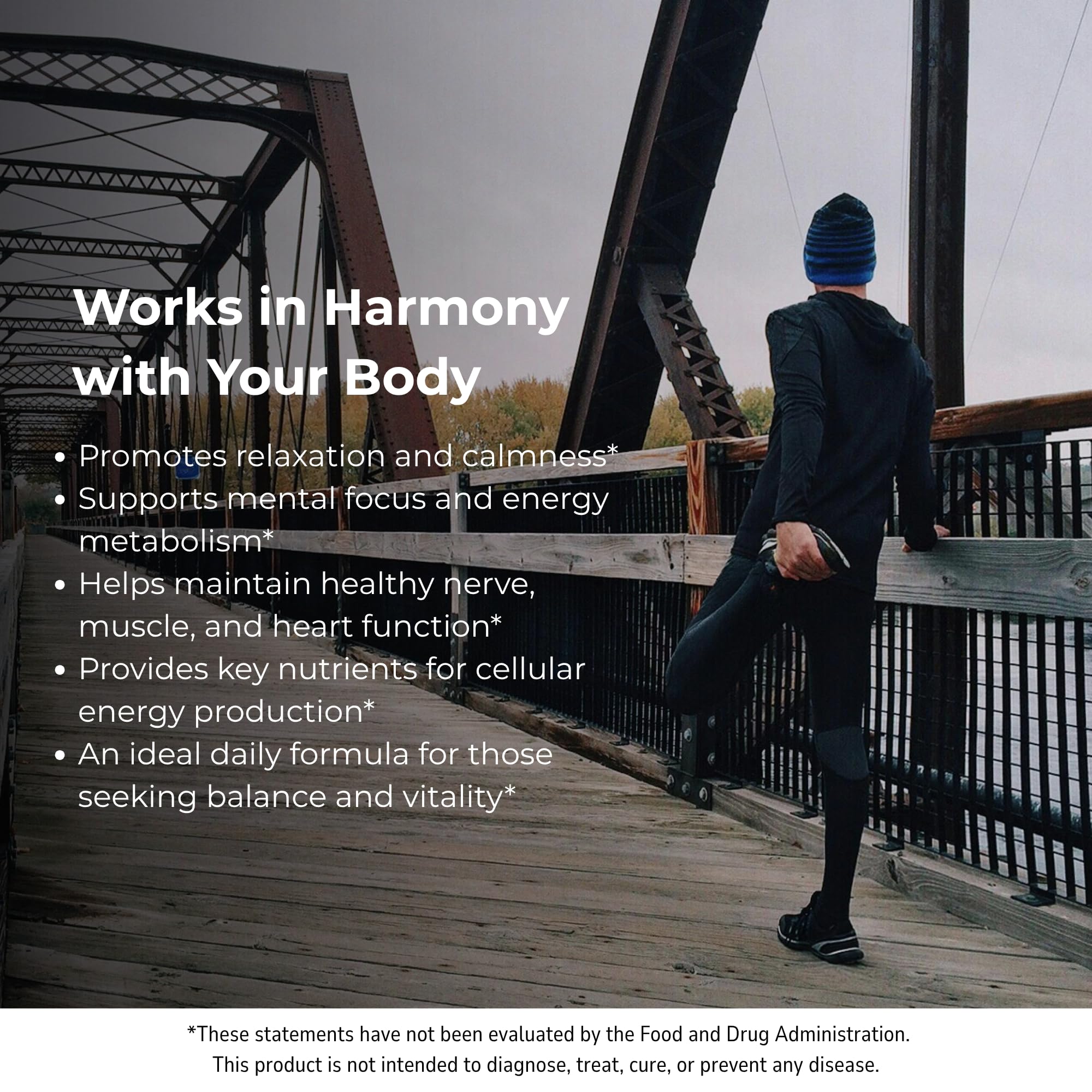 STORM VITALS Myo-Inositol, Choline et Zinc pour le quotidien.
