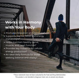 STORM VITALS Myo-Inositol, Choline et Zinc pour le quotidien.