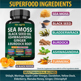 StrongVit – algue bladderwrack, source naturelle de minéraux pour le quotidien.