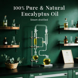 SU JUABA Eucalyptus : ajout facile à la douche pour une sensation boost.