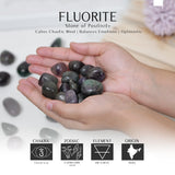 SUBSH Fluorite multi : cristaux polis favorisant méditation et clarté.