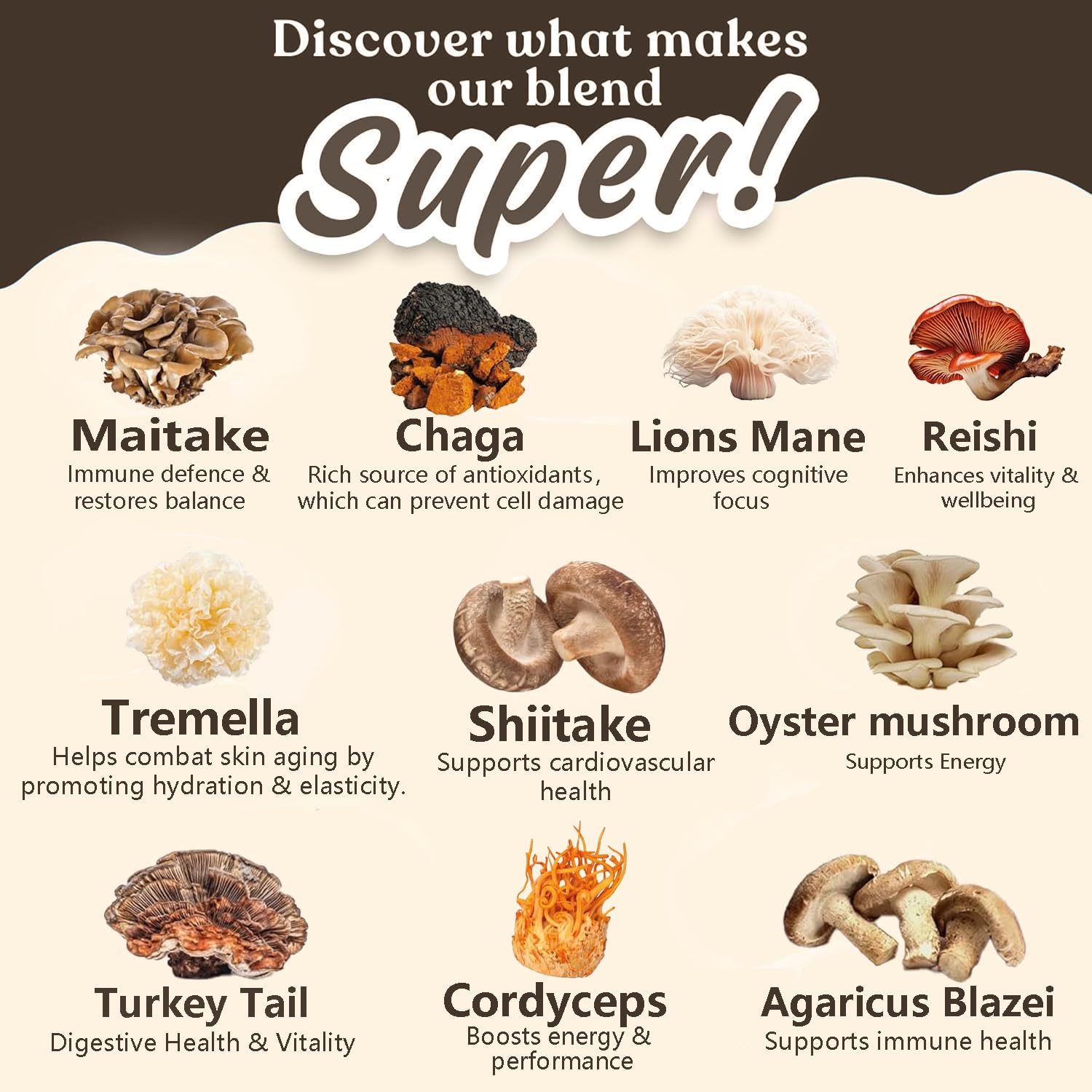 Suiyilary Extrait 10x Champignons : puissance concentrée pour mémoire et focus.