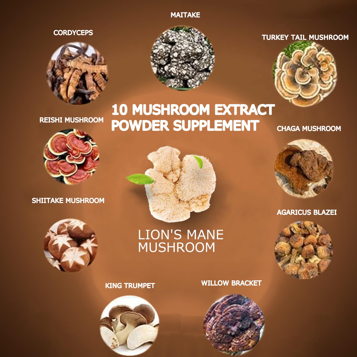 Suiyilary Poudre-Champignons Detail: gros plan sur la poudre; potentiel soutien cognitif.