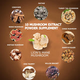 Suiyilary Poudre-Champignons Detail: gros plan sur la poudre; potentiel soutien cognitif.