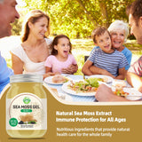 SumDIP gel-ajout-smoothies: facile à incorporer dans smoothies et desserts.
