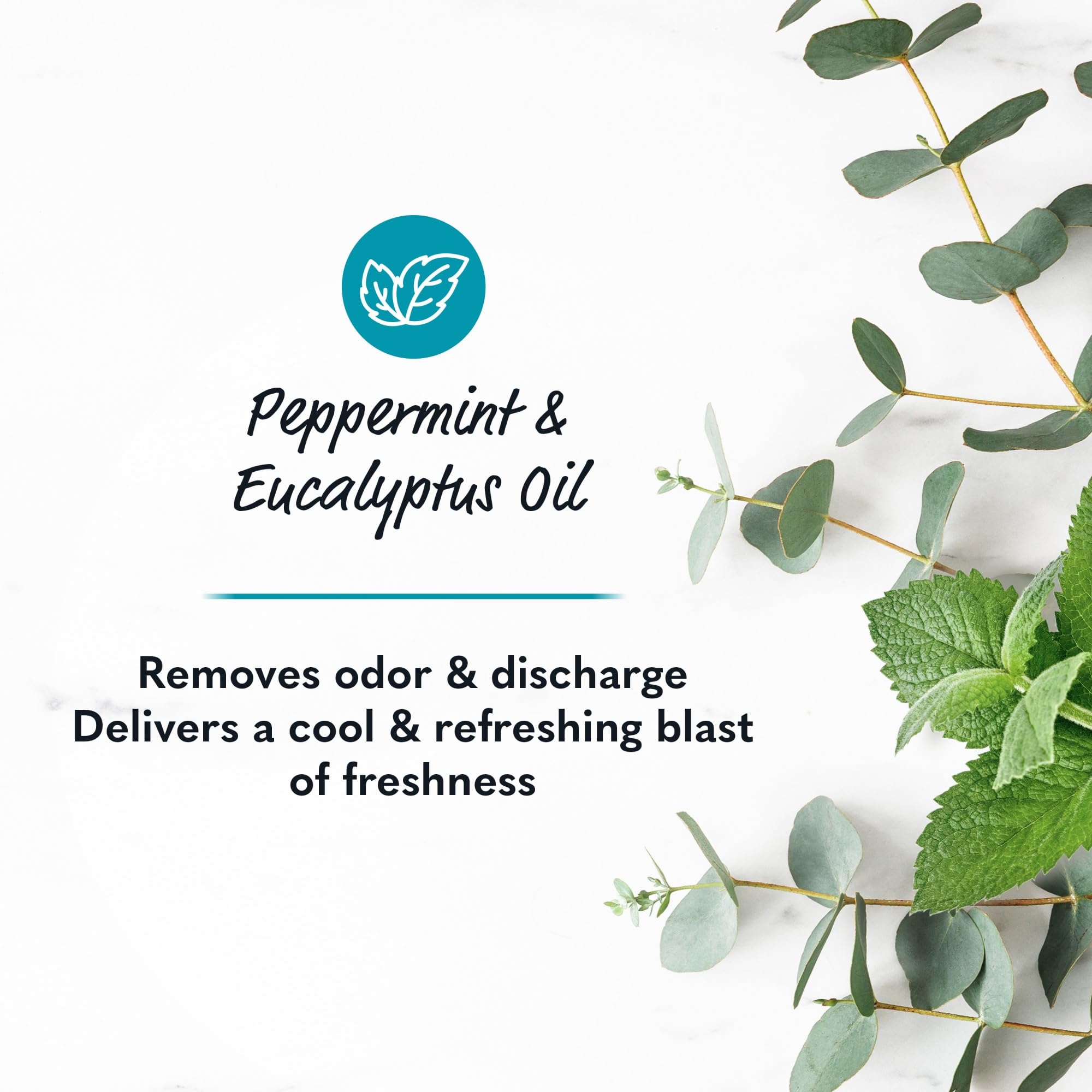 Summer's Eve: parfum menthe et eucalyptus pendant la douche.