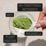 Sun Chlorella ON3 – extrait d'éléutéro pour une énergie naturelle.