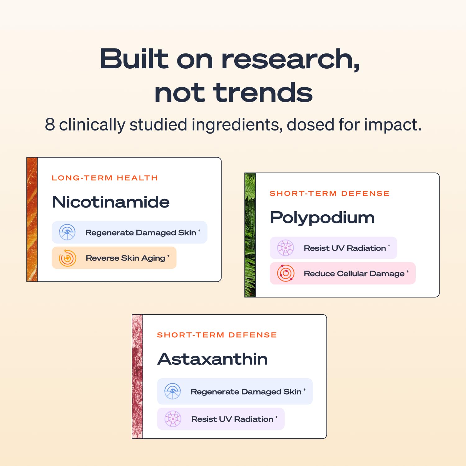 Sun Powder étiquette astaxanthine, antioxydant interne