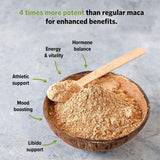 Sunfood Maca Extreme dosage simple pour boissons chaudes ou froides