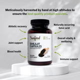 Sunfood Shilajit Capsules, purification douce et capsule végétale biologique.
