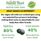 Sunlit Best Green Organics favorise l'énergie durable grâce à la chlorella-spiruline.