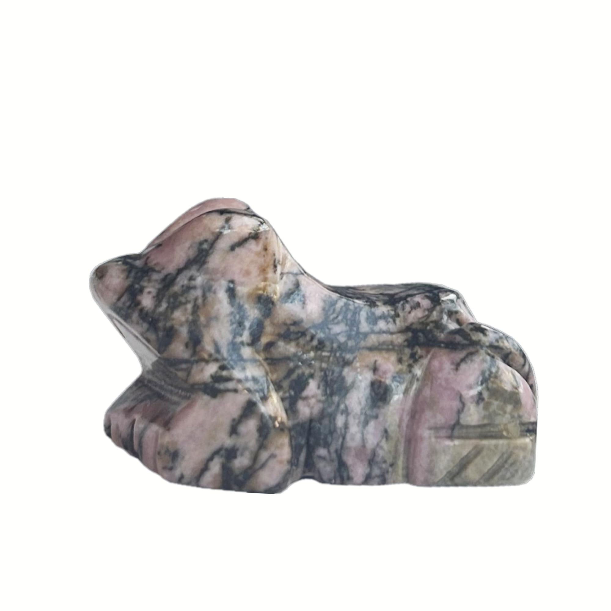 Sunshcat grenouille de poche en rhodonite, idéale comme porte-bonheur et décor zen