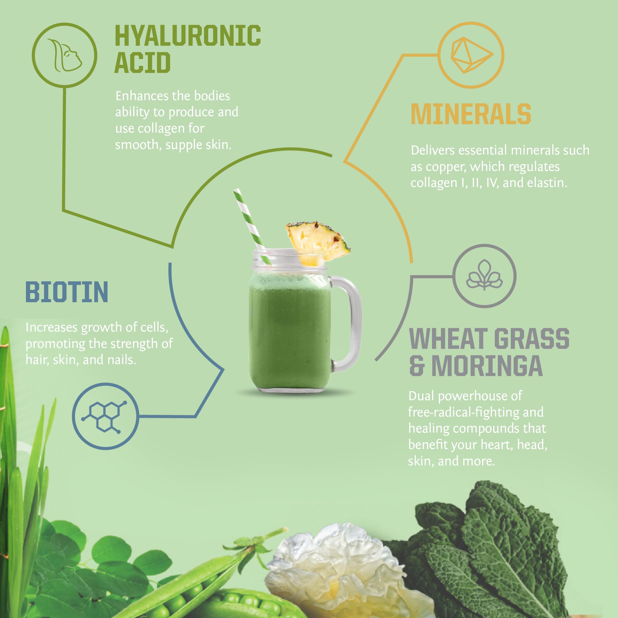 Sunwarrior Beauty Greens Collagen Booster : mélange facile dans une boisson froide ou chaude