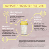Sunwarrior Créatine Monohydrate – goût Yuzu Coco, pré-entraînement frais et agréable.