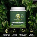 Moringa Sunwarrior Greens feuilles, source naturelle de nutriments
