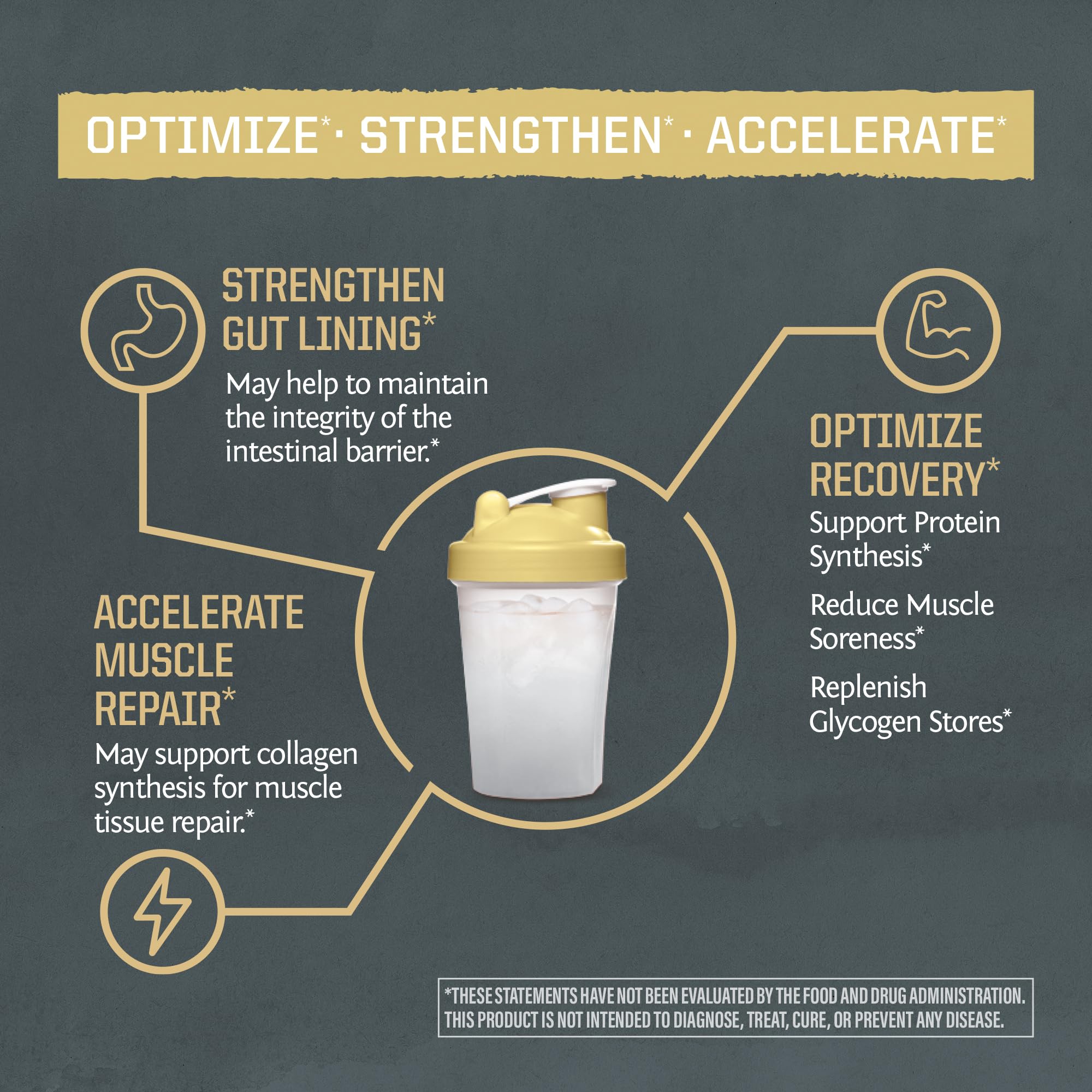 Shaker avec Sunwarrior L-Glutamine non aromatisée prête à boire