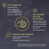 Sunwarrior Be Well Fibre prébiotique – diversité de la flore intestinale en action.