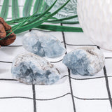 SUNYIK Celestite bleu, support pour plante aérienne et décoration.