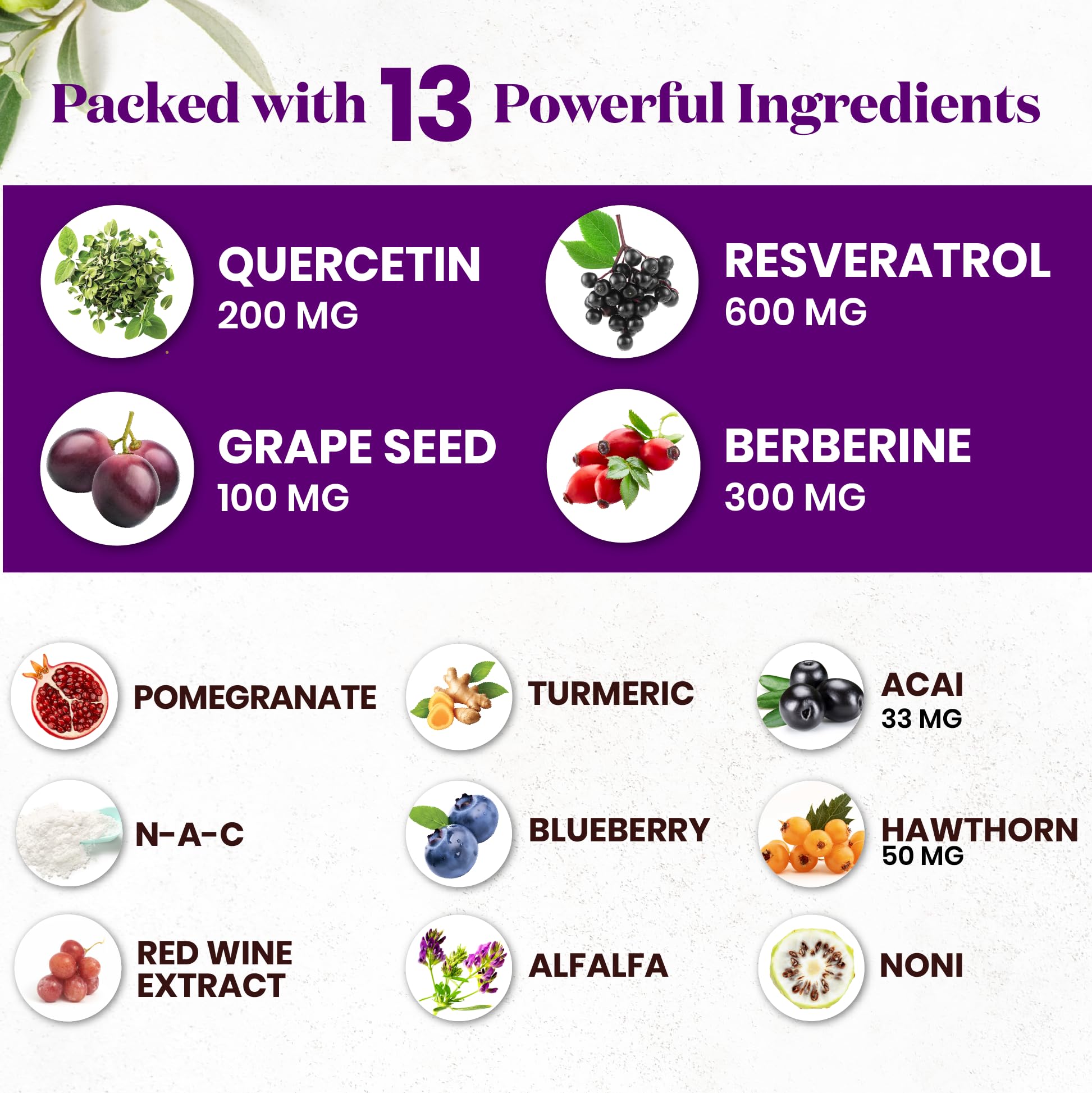 Superfood MD Quercétine, polyphénols, capsules, potentiel soutien des périodes chargées.