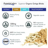 Superior Labs Ginkgo Biloba 1200 mg – extrait naturel, antioxydant potentiel.