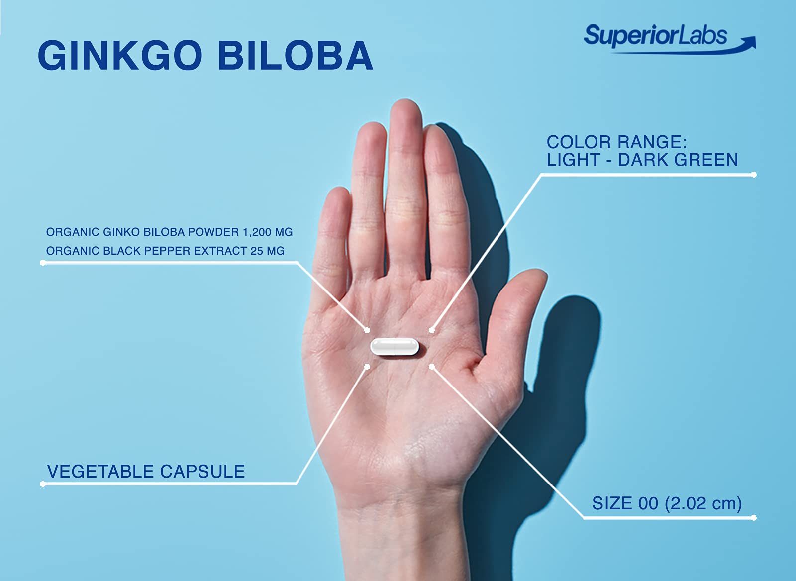 Superior Labs Ginkgo Biloba 1200 mg – poivre noir pour absorption accrue, formulation avancée.