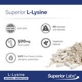 Emballage extérieur Superior Labs L-Lysine 500 mg sans gluten et sans OGM