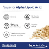 Tableau de dosage Alpha Lipoïque 600 mg, aide à planifier une routine.