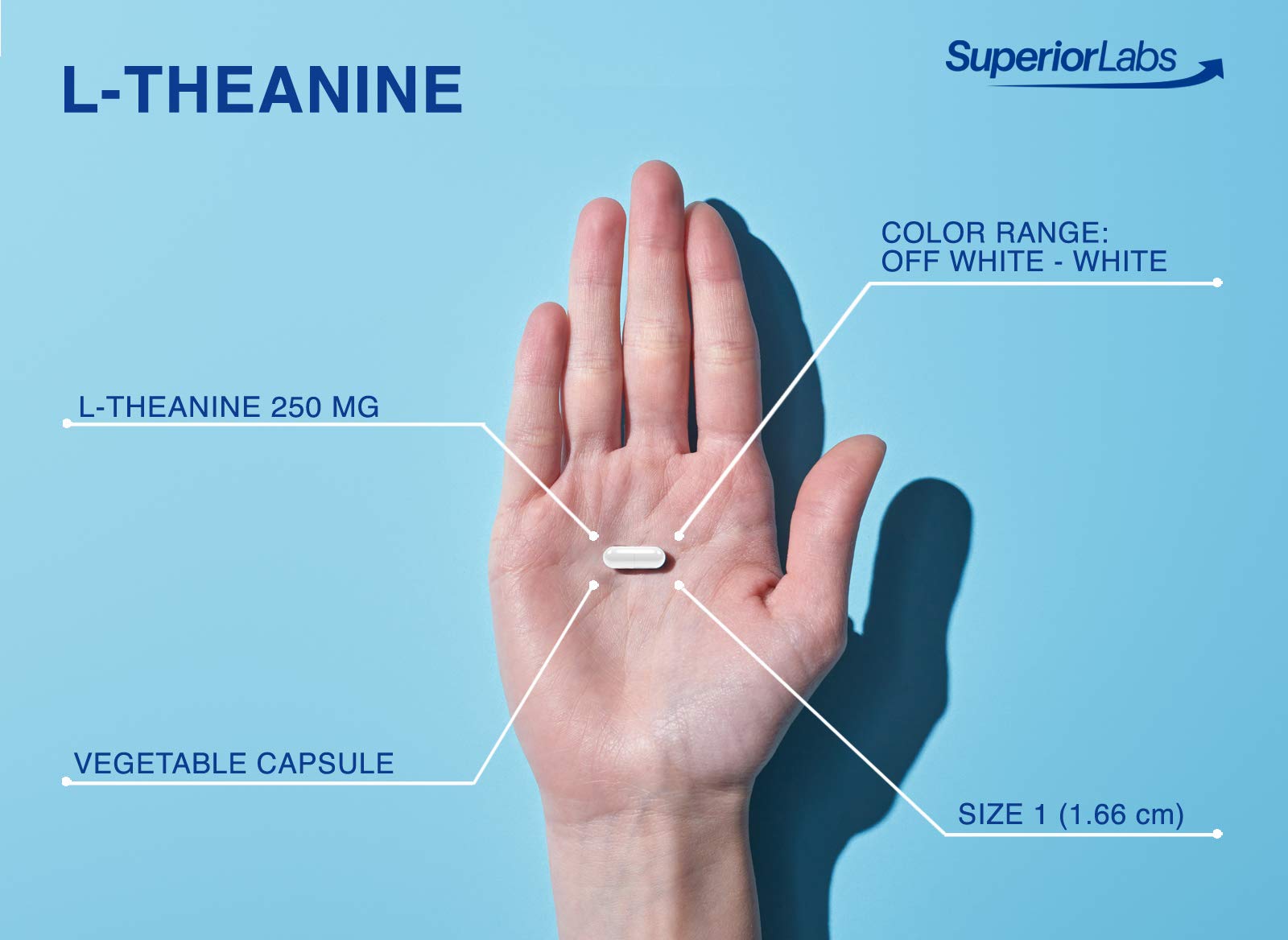 Superior Labs Theanine 250 mg : usage recommandé pour soutenir calme et concentration au quotidien.