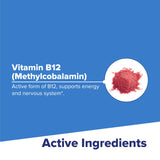 Superior Source B12: non-OGM et sans conservateurs