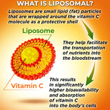 SUPPLEMENTS STUDIO Vitamine C liposomale Acerola biologique, arôme naturel et efficacité potentielle