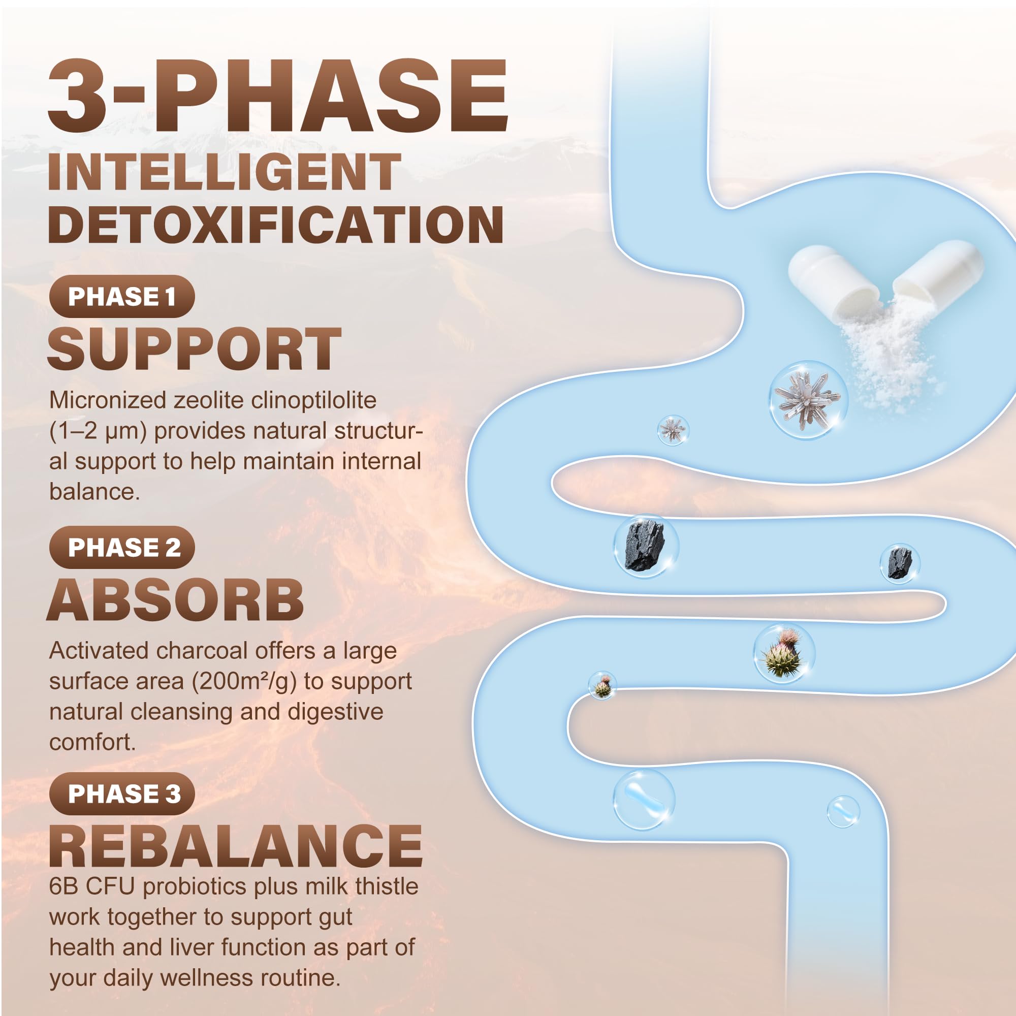 SUPRANOURISH Détox Zéolite Capsules emballage sûr et pratique pour les voyages.